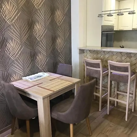 Vip Nena Apartment *